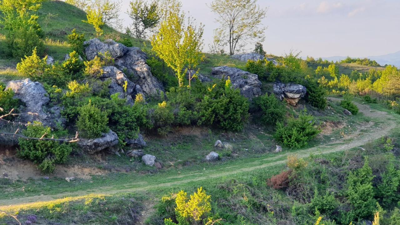 فندق Бялата Къща Chakalarovo المظهر الخارجي الصورة